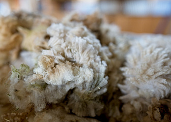 Машинист промывочных машин